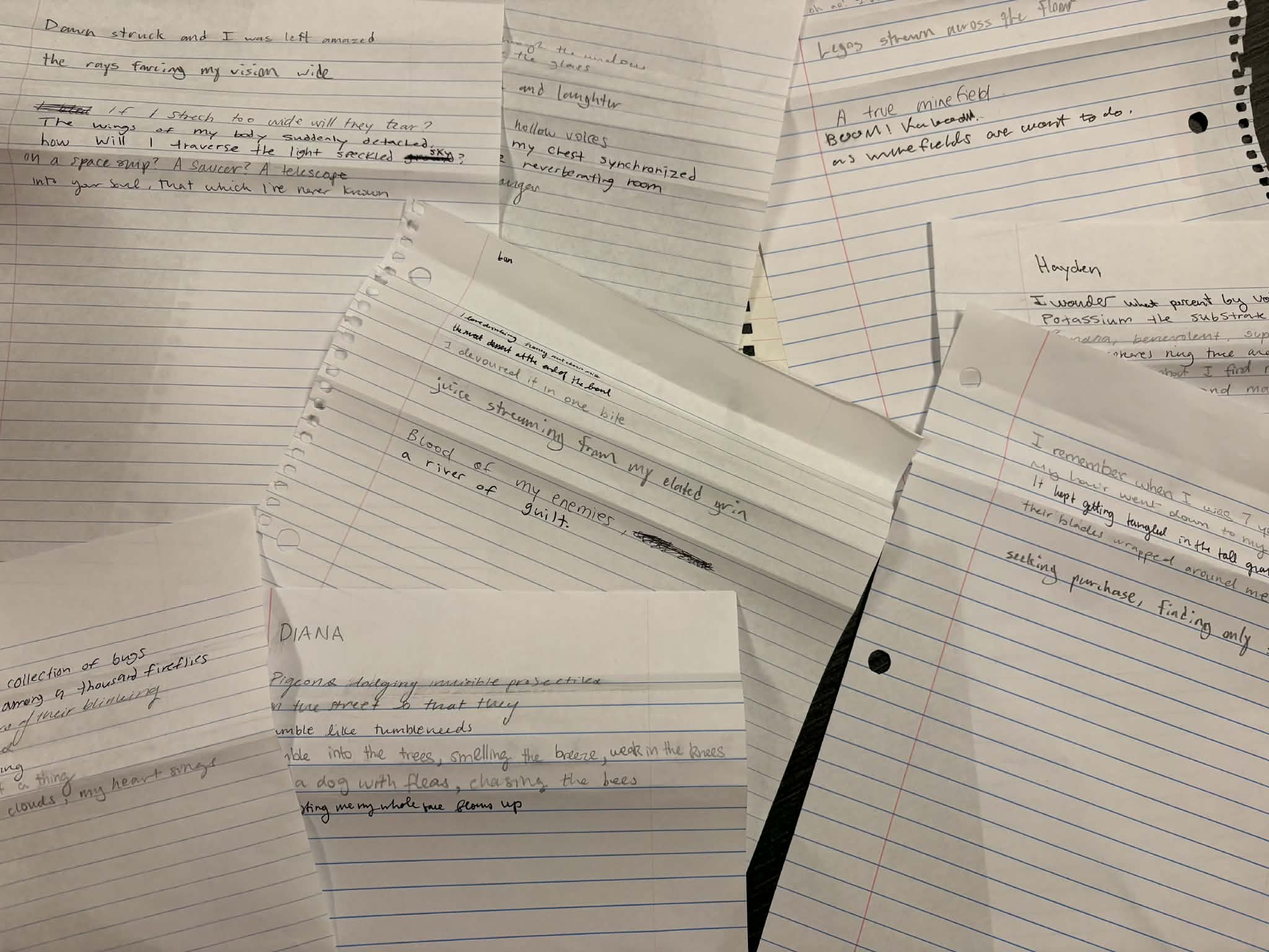 Photo by Ainsley Nice