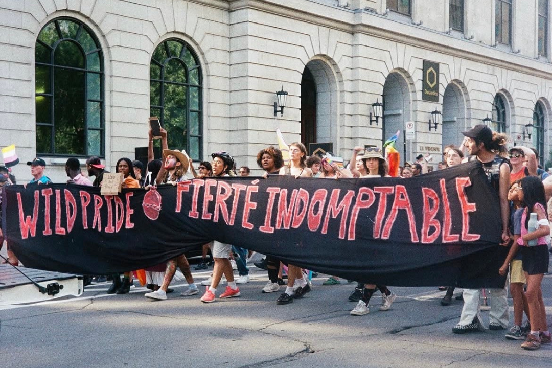 Wild Pride: Queer Joy, Politics, and Power
