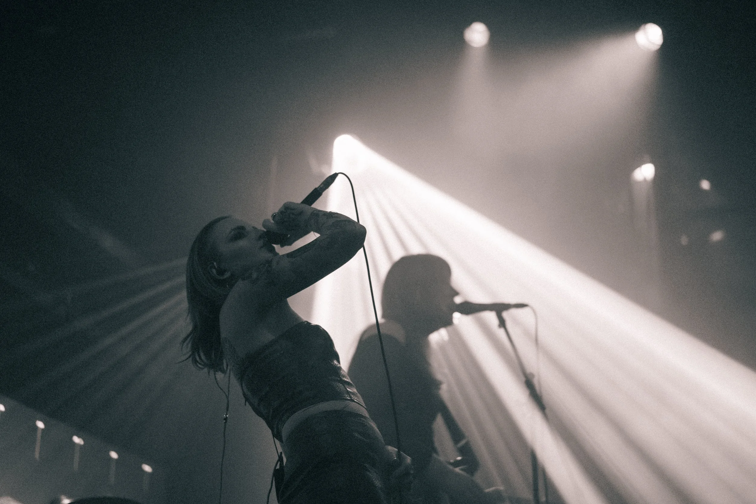 Mercy Girl (Daisy Miles, Davey Purdie, Craig Harkness, and Kylie MacNaughton)