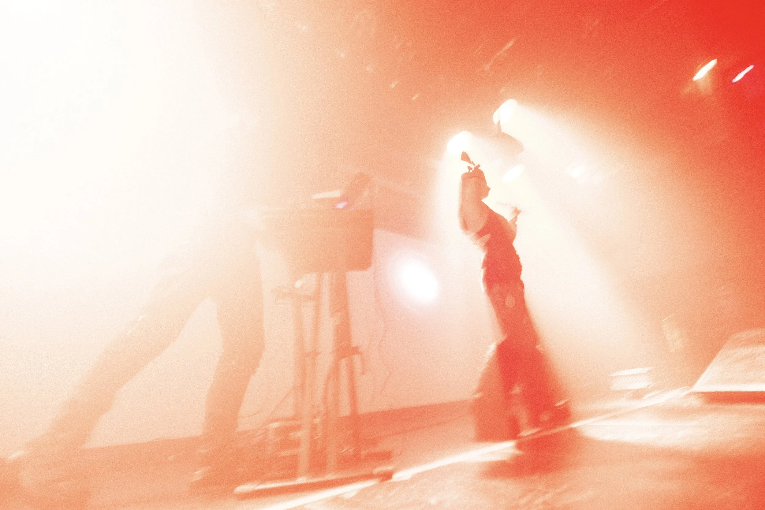 Denuit (Ivi Topp and Lis Araignée)