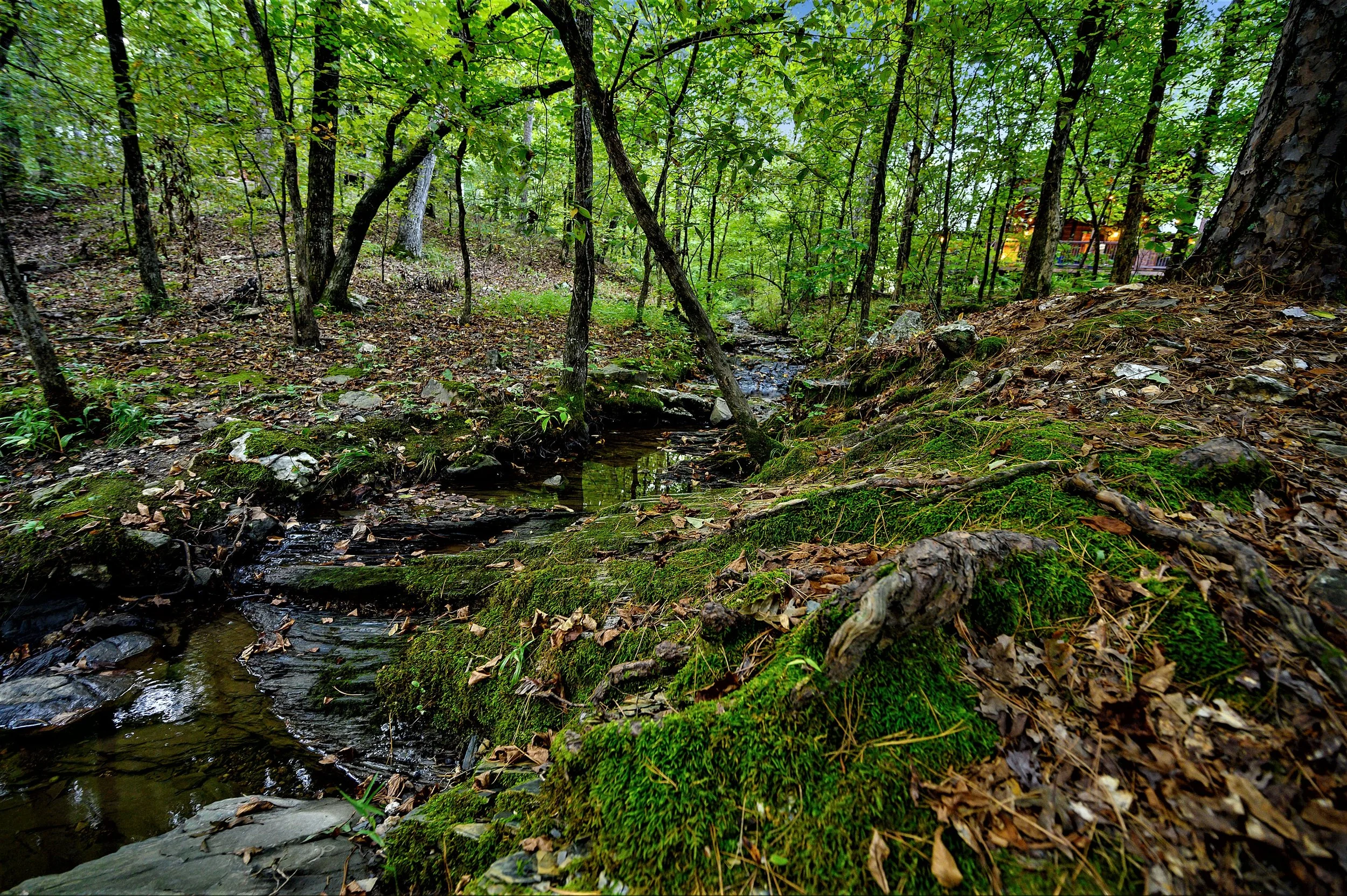 The Creek with Cabin.jpg