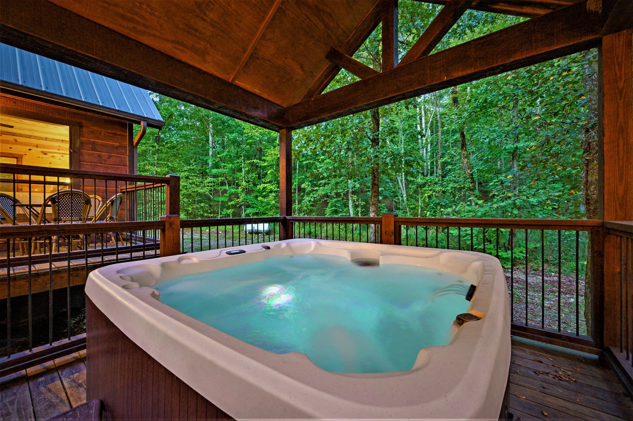 deck with forest.jpg