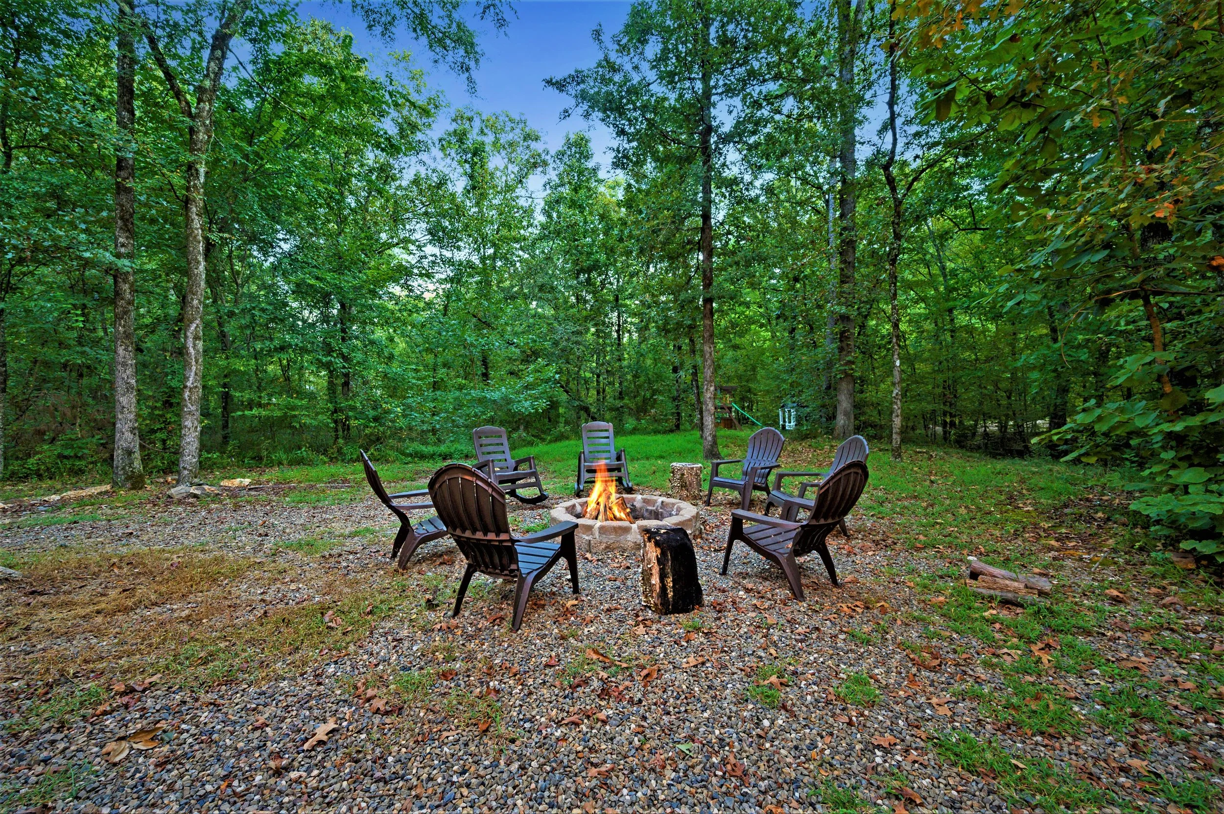 P Firepit and Forest.jpg