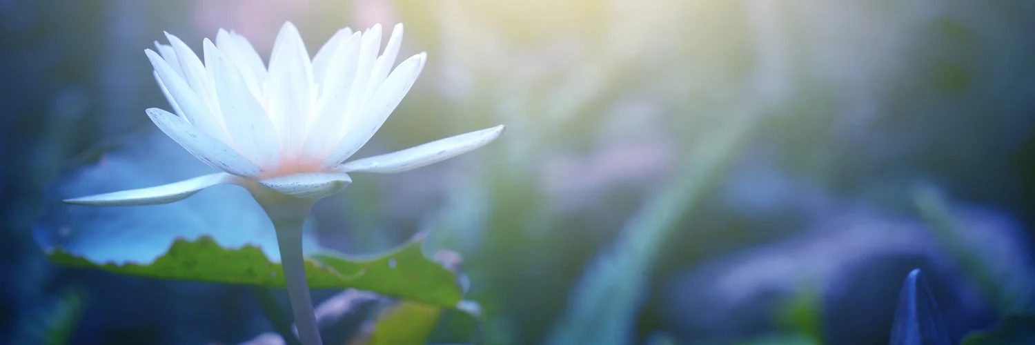 Admissions — Glenmont Christian Science Nursing