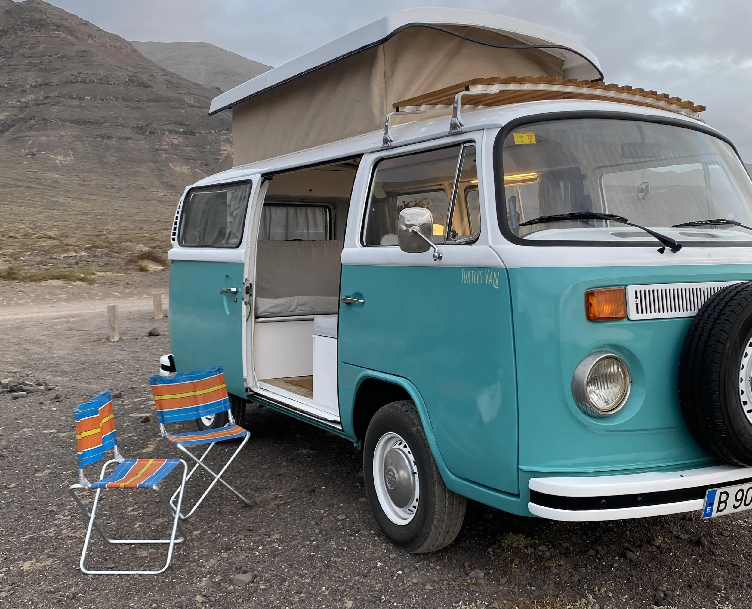 WILMA — TURTLES VAN