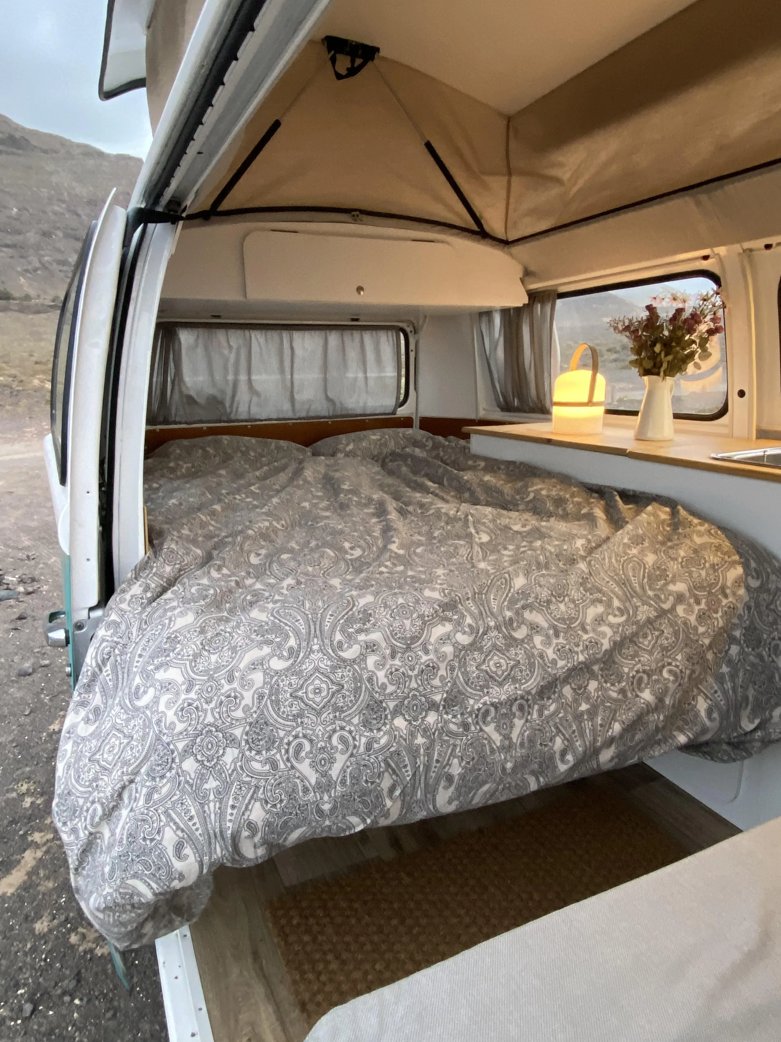 WILMA — TURTLES VAN