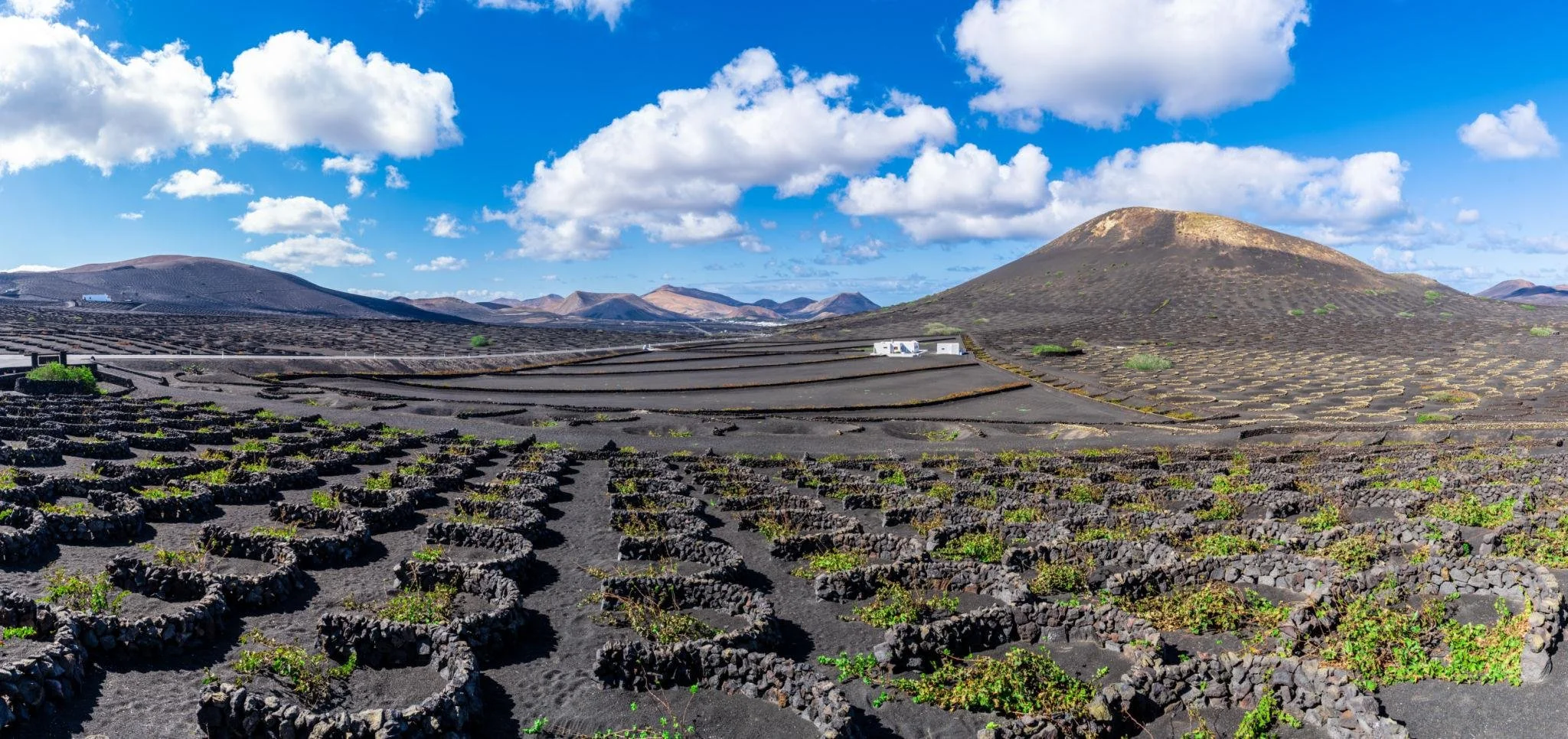 The 5 Best Wineries in Lanzarote- Wine Tasting Guide (1).jpeg
