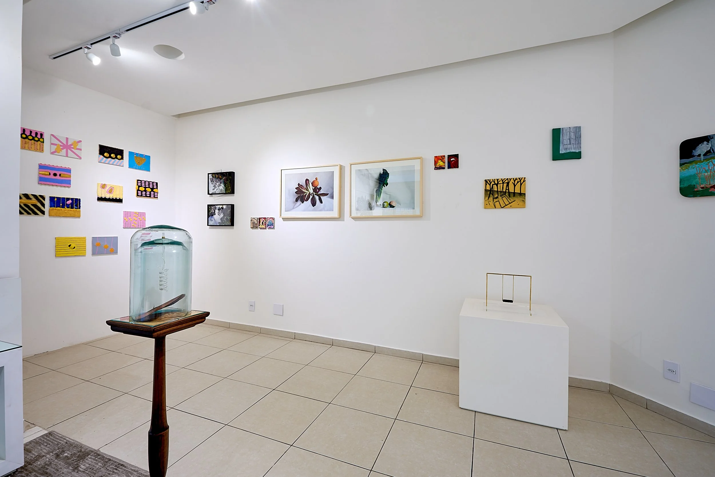 FASAM_GALERIA_halexander_19jun2021 R 140 1.jpg