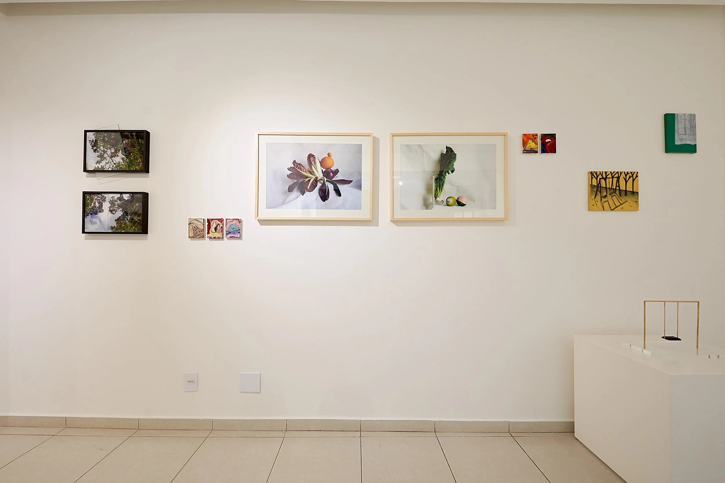 FASAM_GALERIA_halexander_19jun2021 R 152 1.jpg