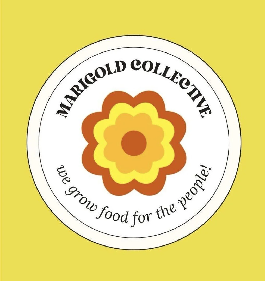 Marigold Mingle in Winterville, GA