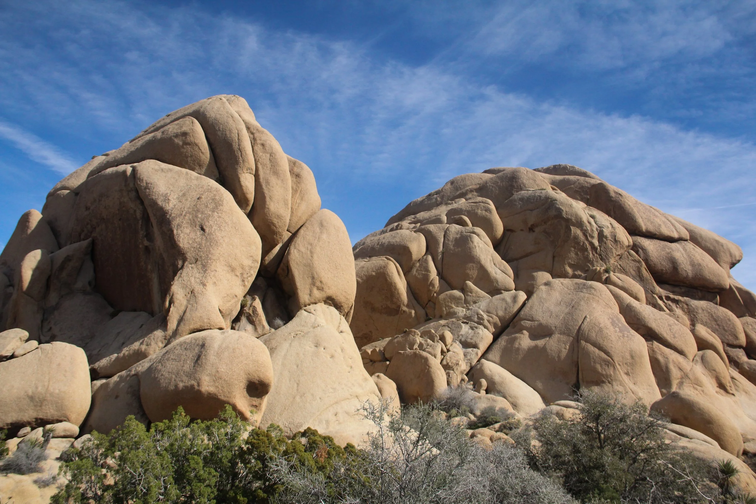 Joshua Tree - Feb 2026