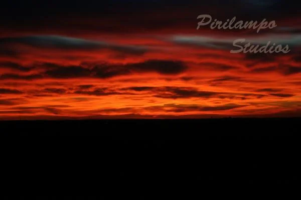 webpage scenery 1.jpg