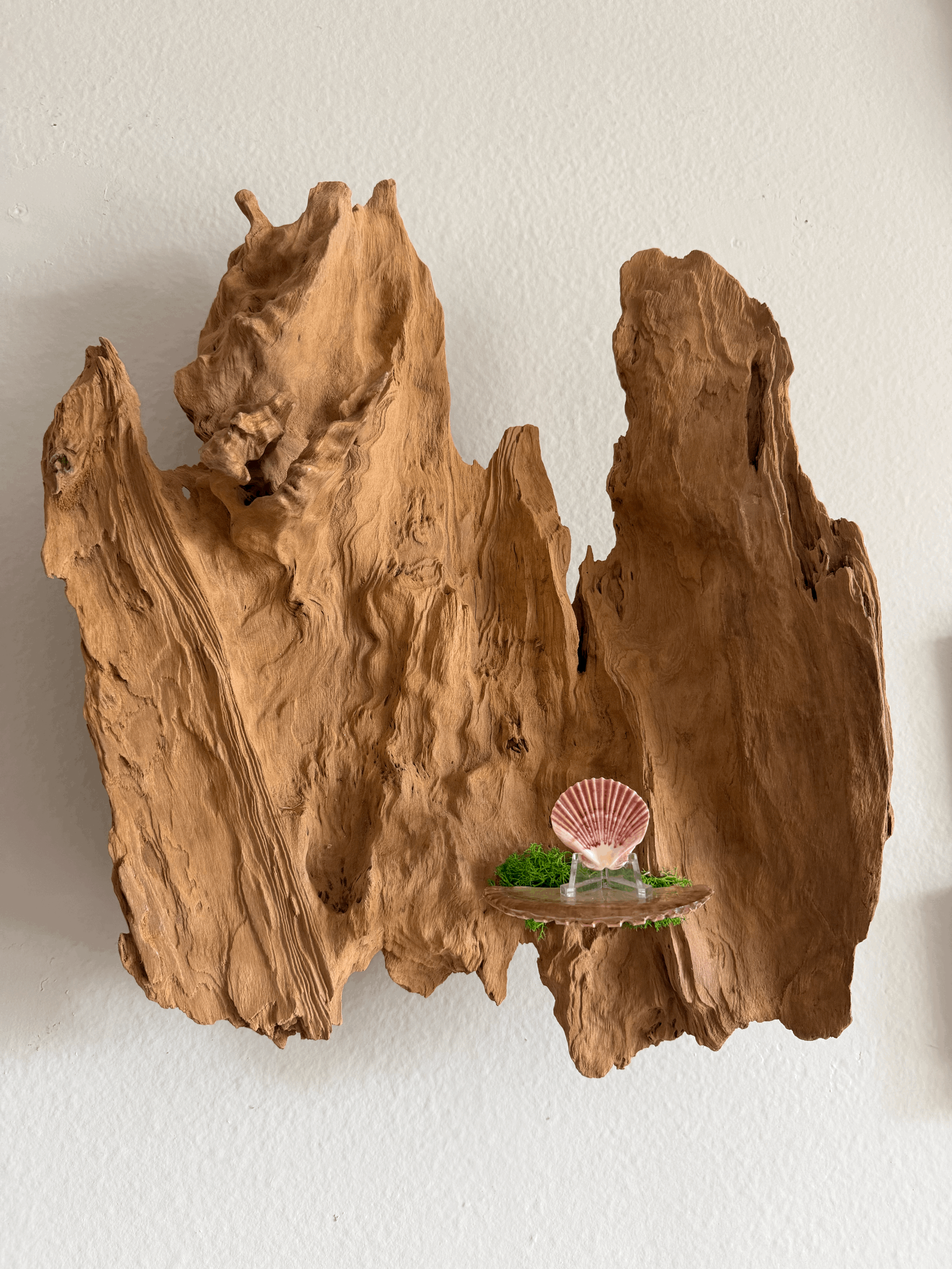 Pecky Cypress mermaid shelf
