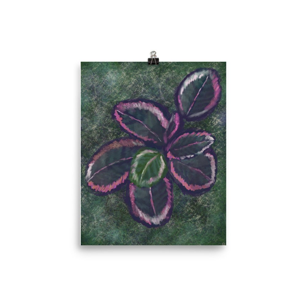 enhanced-matte-paper-poster-(in)-8x10-transparent-649a3b0aa54a5.jpg