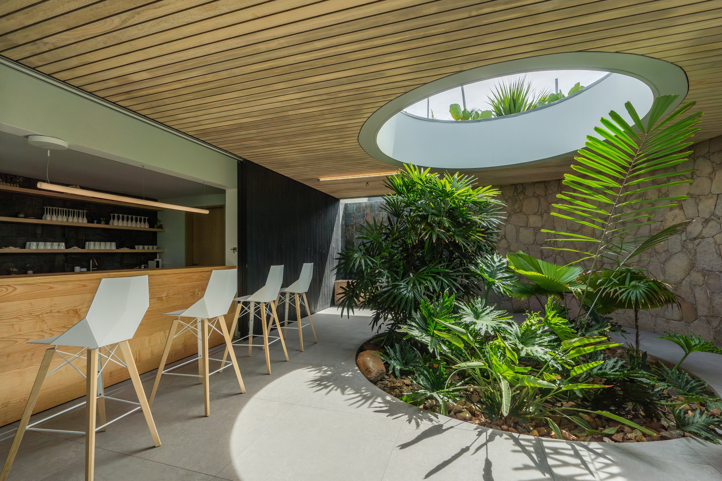 PMZ05235-Avec accentuation-Bruit.jpeg