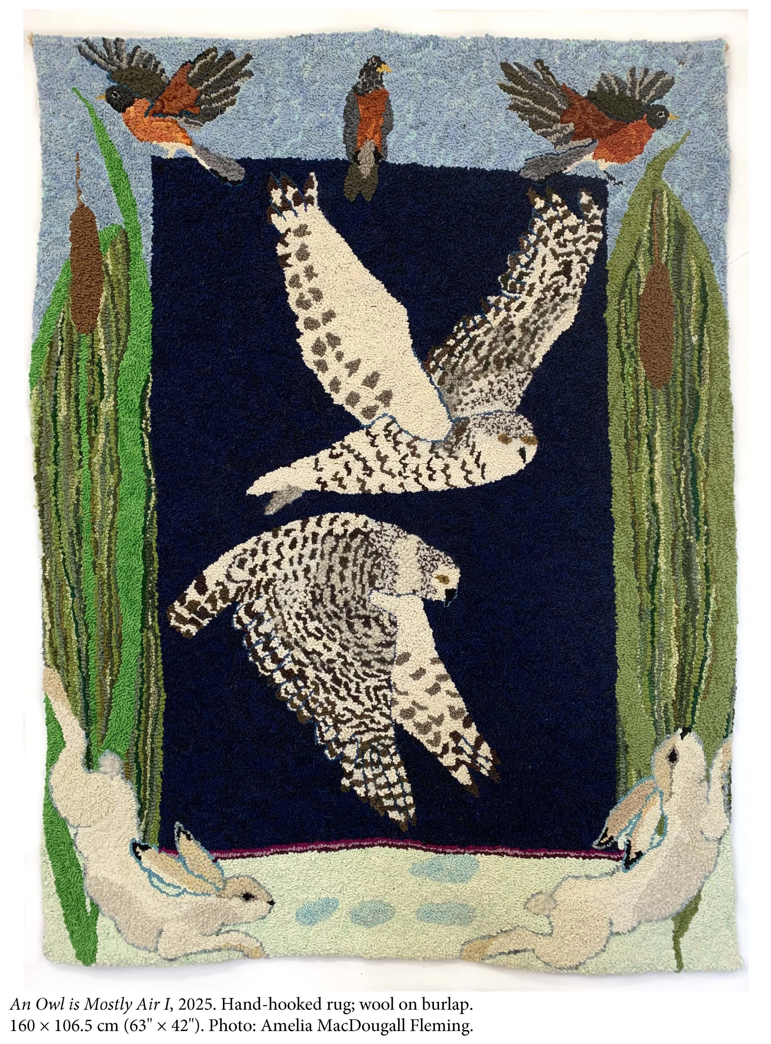 An_Owl_is_Mostly_Air_I.jpg