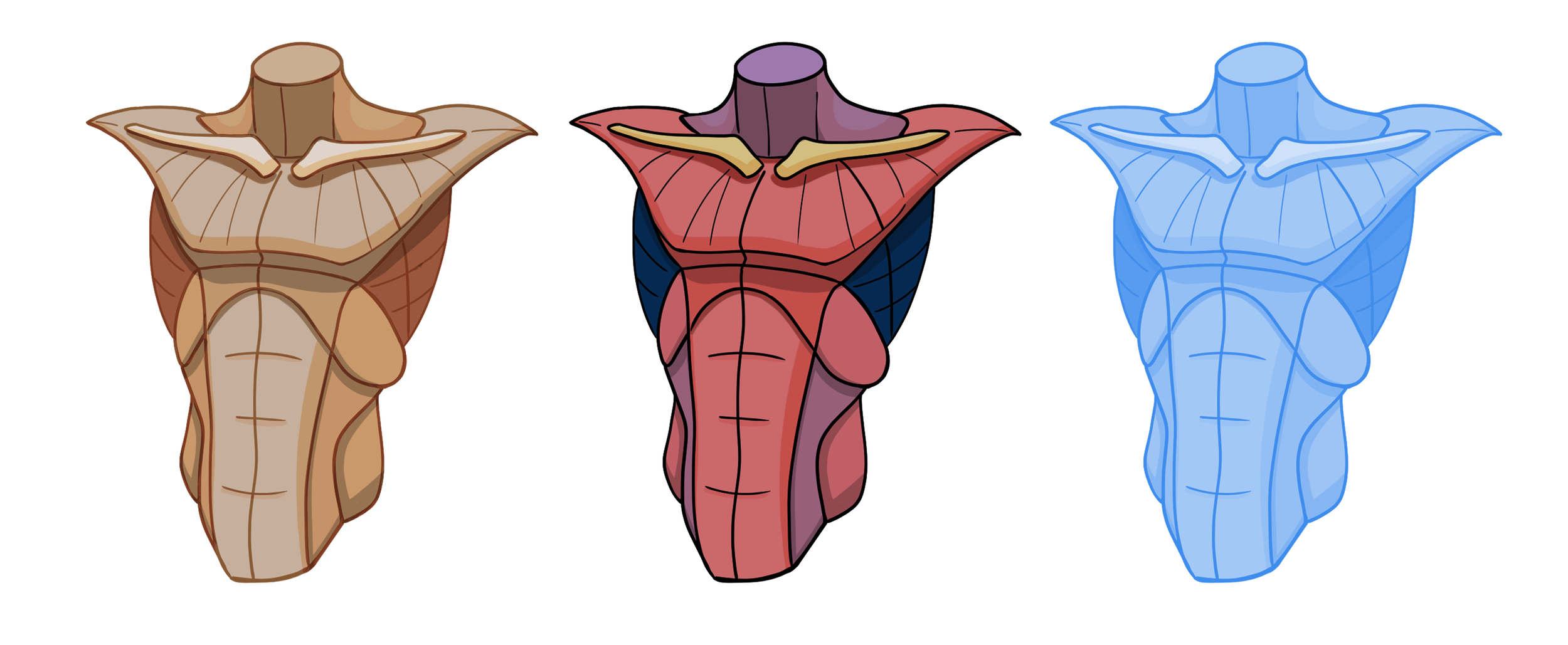 Funky-Torso-Practice.png