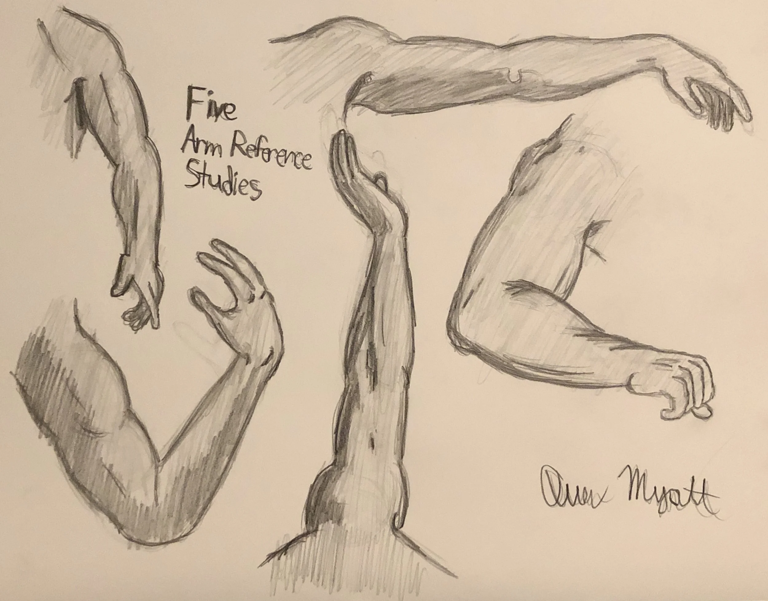 DRAW200_MyattOwen.Musclestudy2 copy.jpg