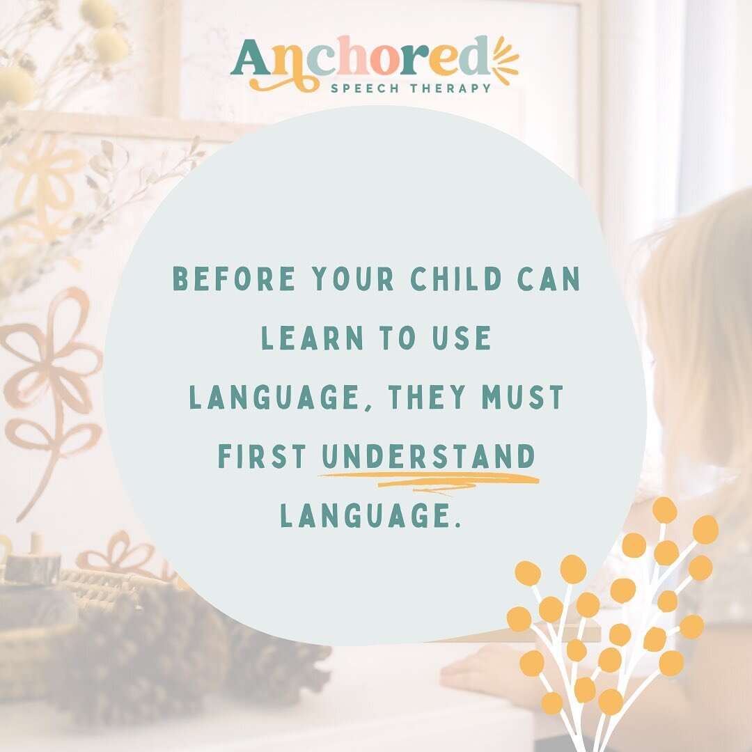 I believe the most overlooked problem in LATE TALKERS is receptive language delays. -Laura Mize, SLP (paraphrased) 

I couldn&rsquo;t agree with her more. 🙌🏻

Let me be clear, I don&rsquo;t have research to back this, this is a statement based on y
