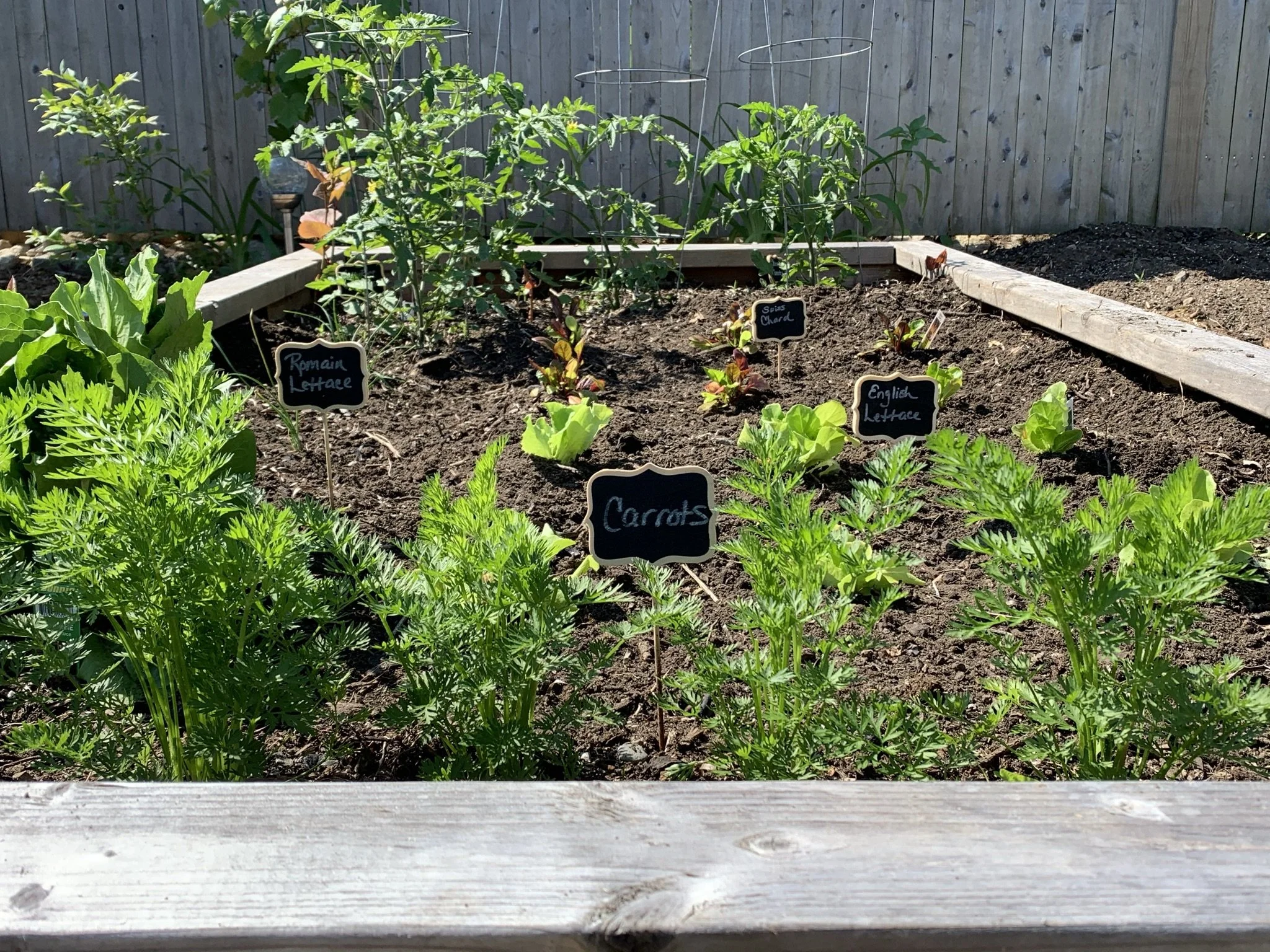 Raised Bed Vegetable Garden - Fun for the whole family.  And delicious. 
