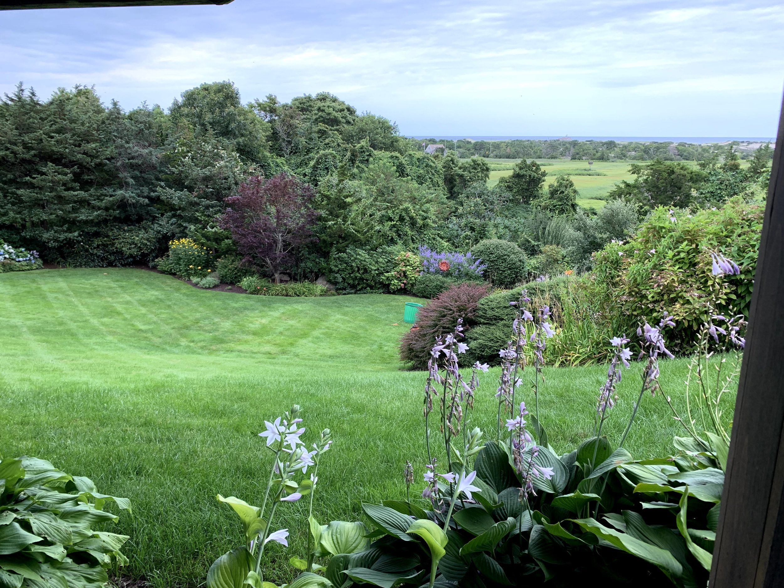 Groups of ornamental trees, shrubs and perennials can create a beautiful manicured yet natural border for any property.