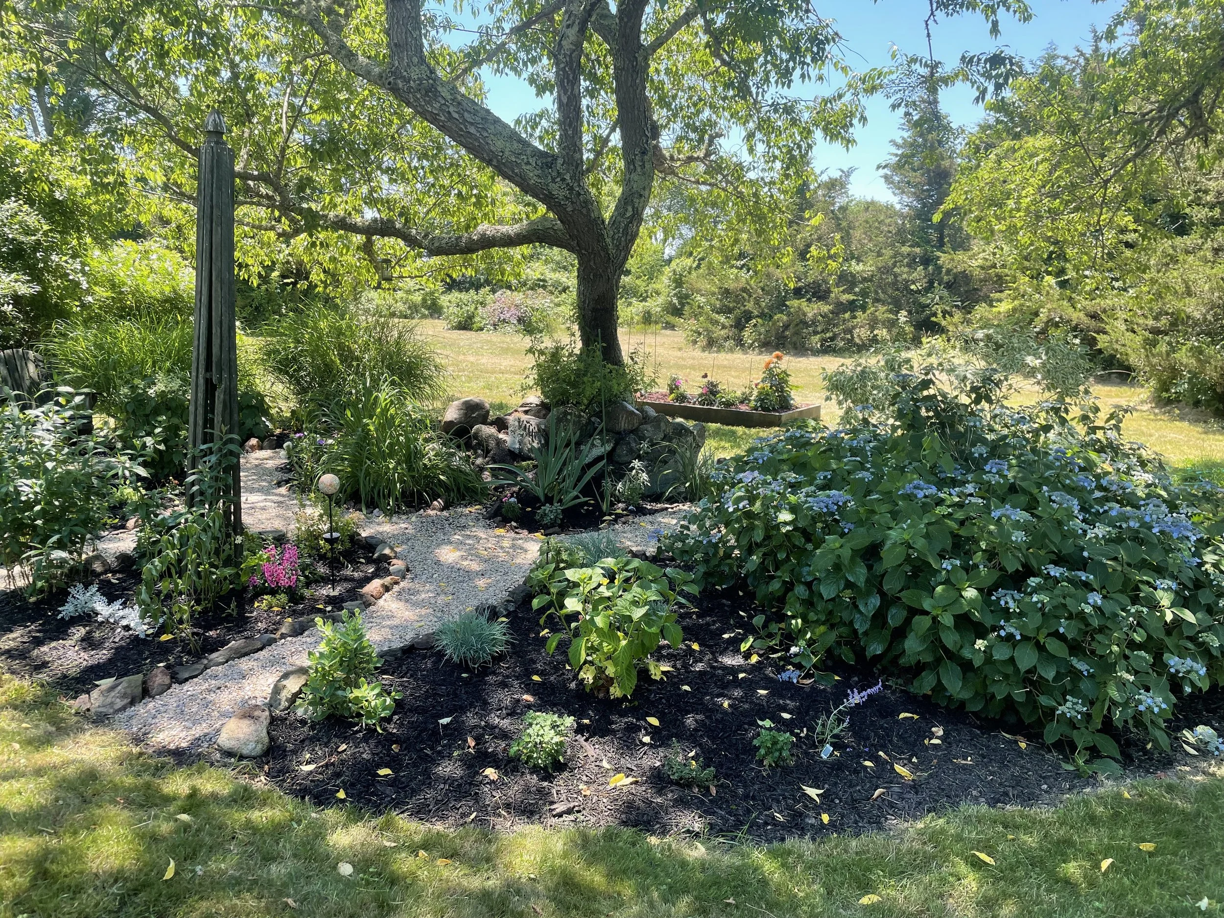 A Friendship Garden.  It is comprised mostly of plants given to the homeowner.  It's a magical place.