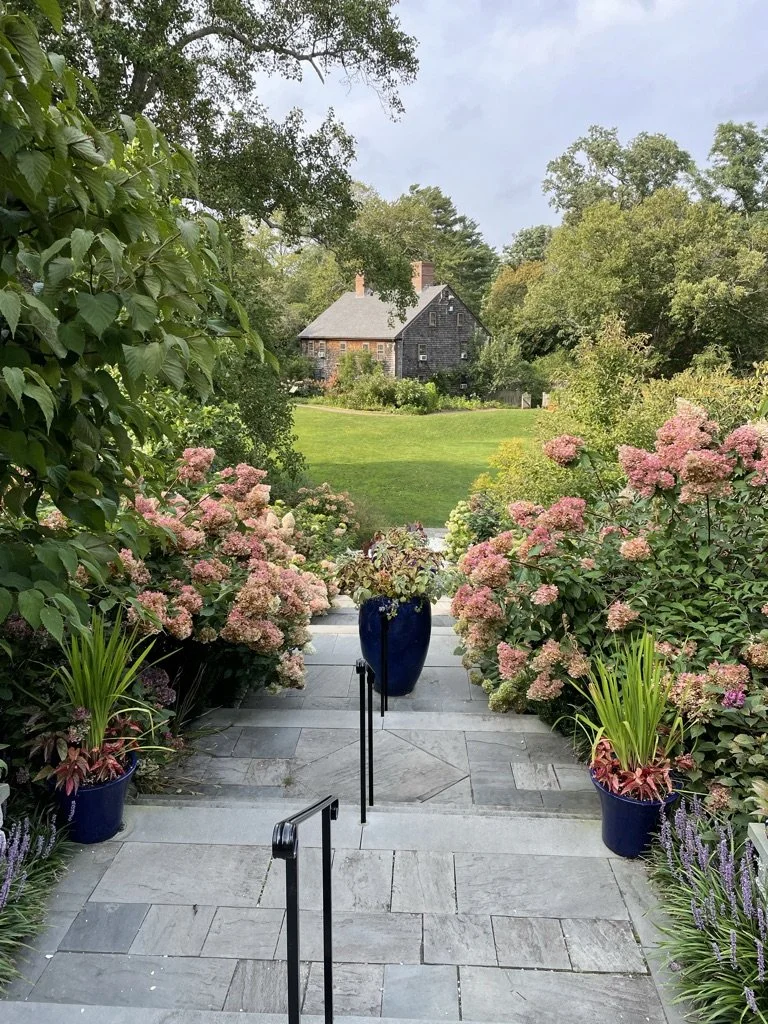Mixing containers with flowering shrubs is a great way to mix in texture or bring a quick change to an established area.