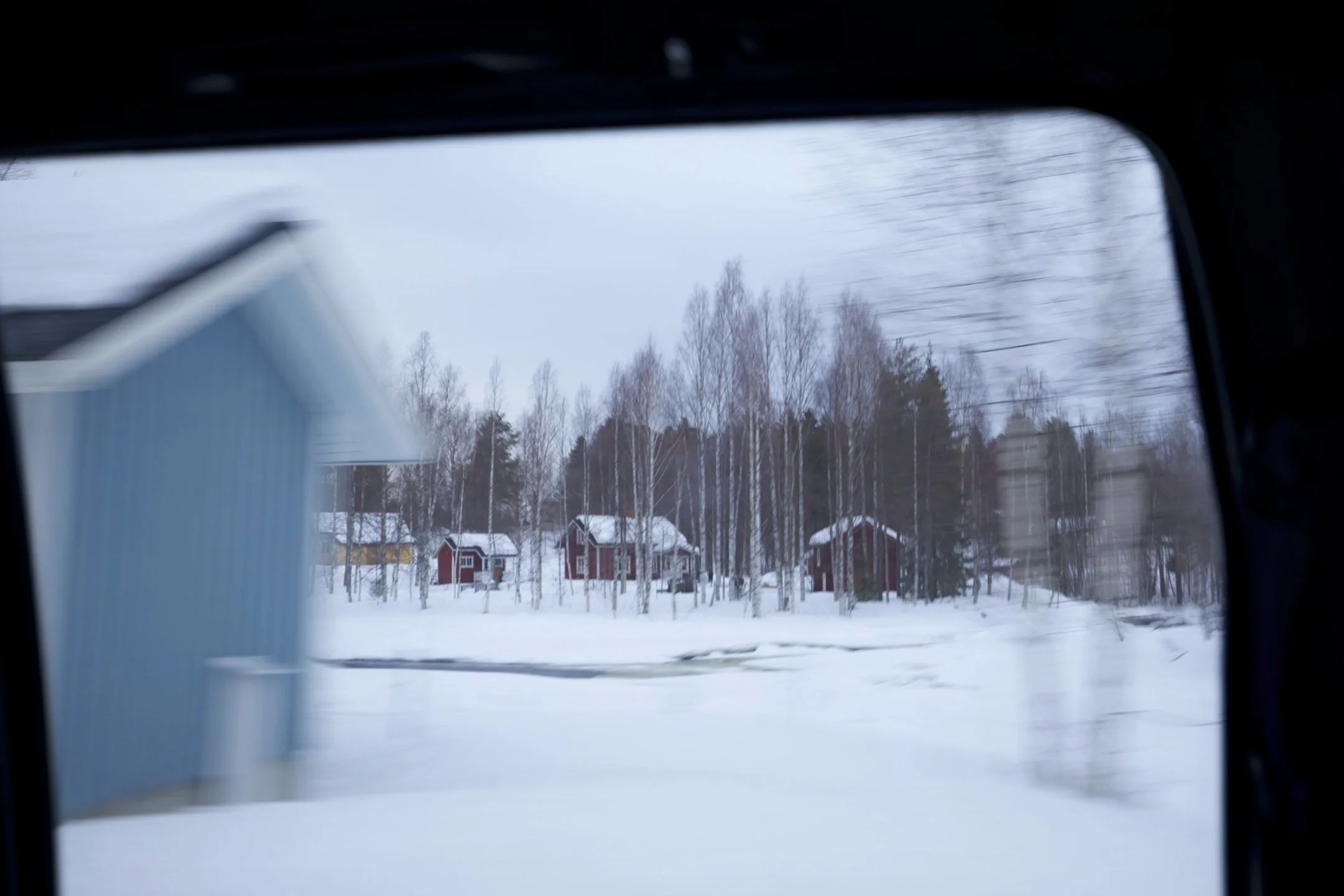 florian car window.jpg
