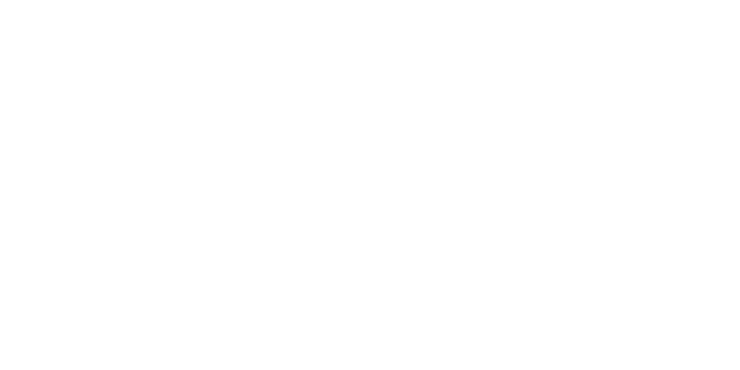 logo wolden maskin hvit.png