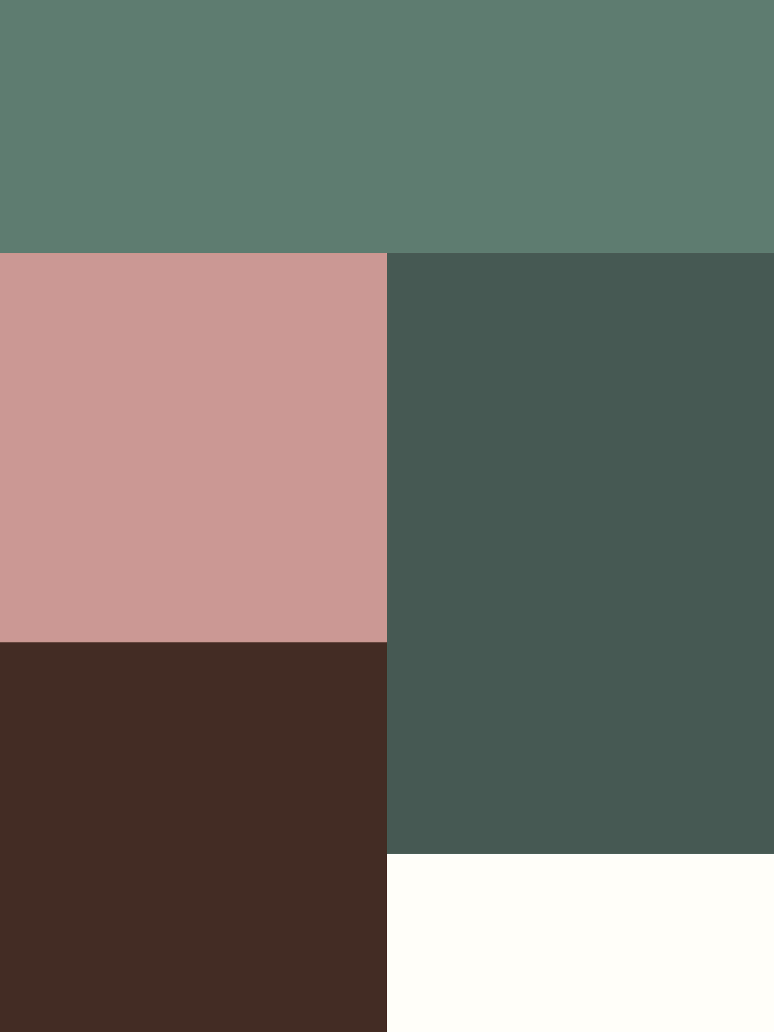 farger - stall holand-04.png