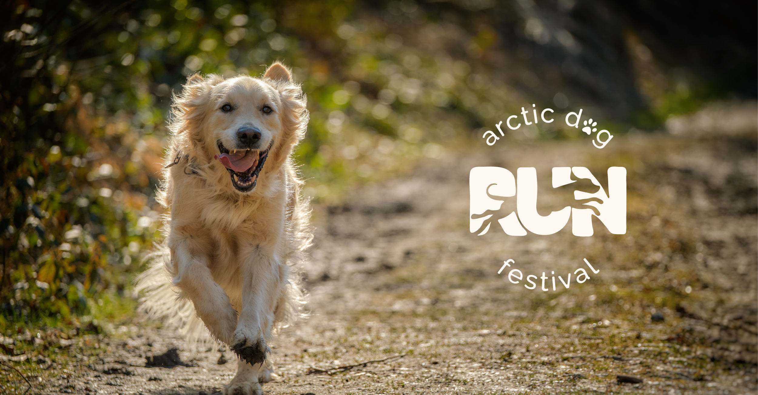 Arctic Dog Run Festival