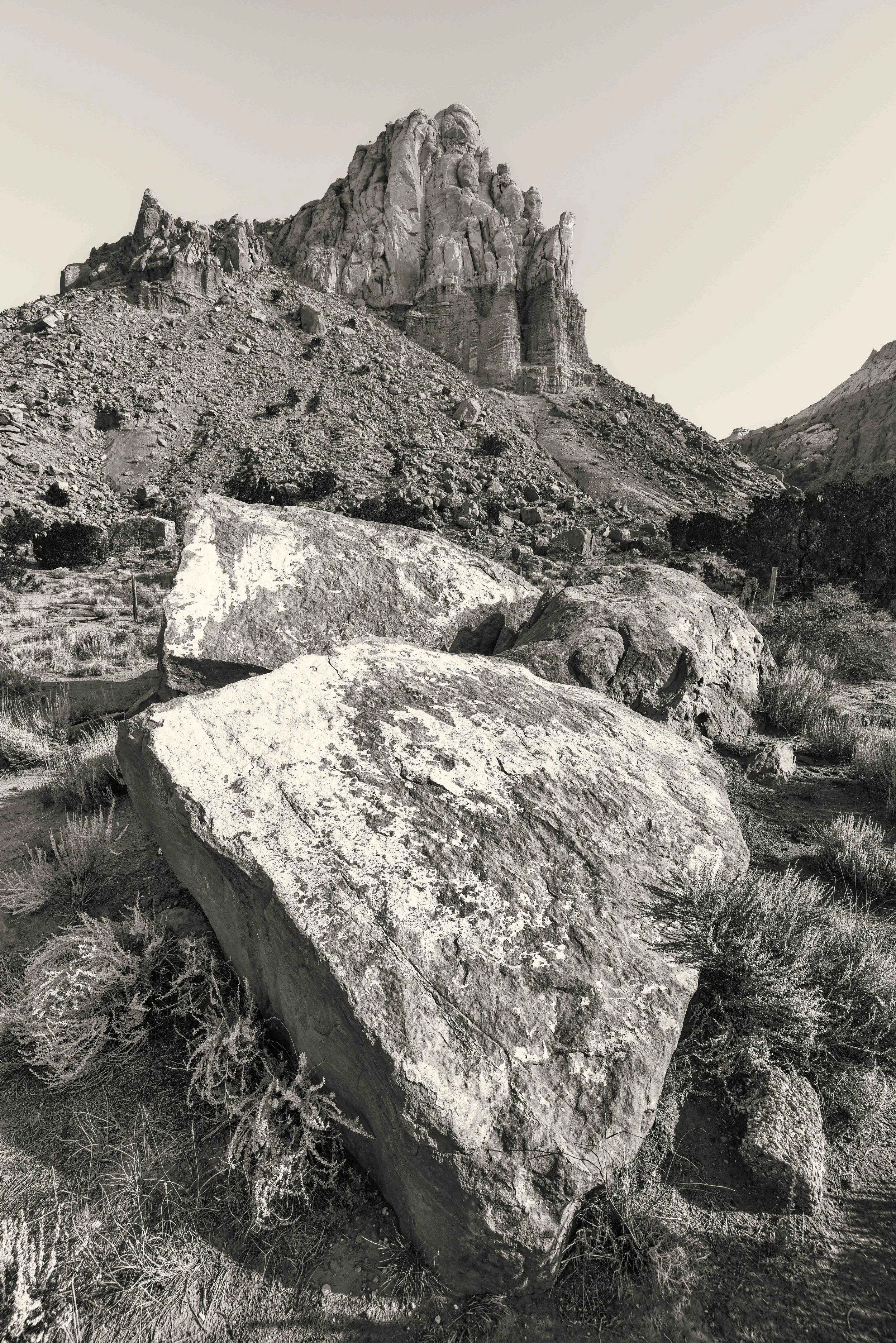Black & White — Rob Shenk Photography