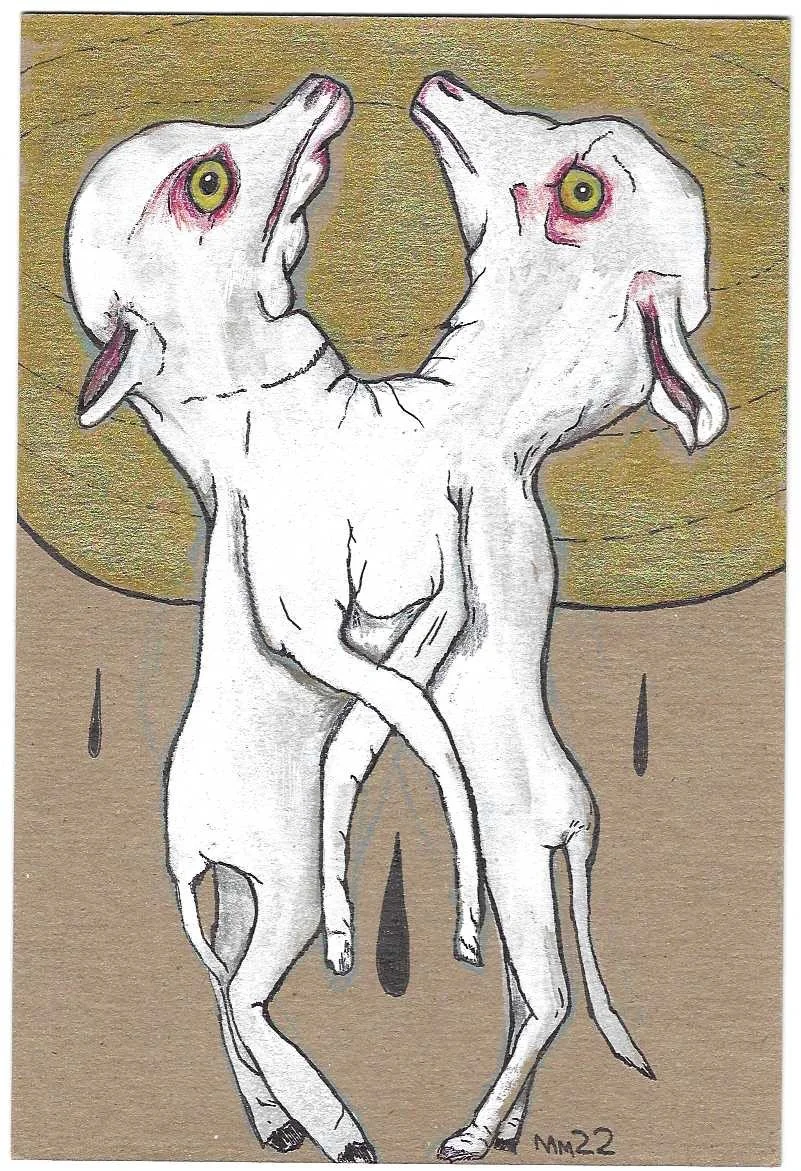 Two Headed Lamb 5"x7 1/2" (unframed)