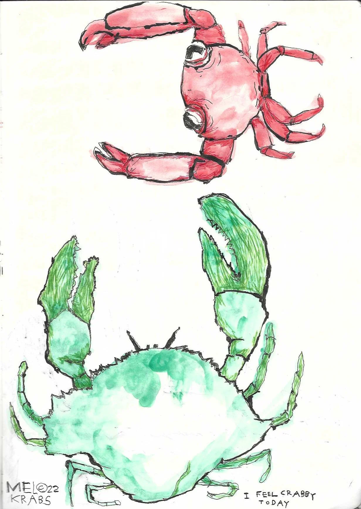 sketchbook crabs 1.jpg
