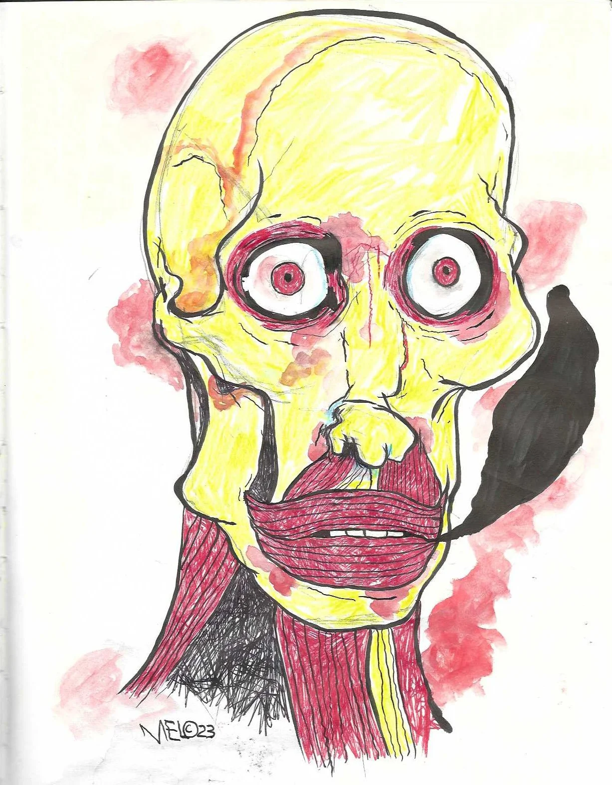 sketchbook muscles face.jpg