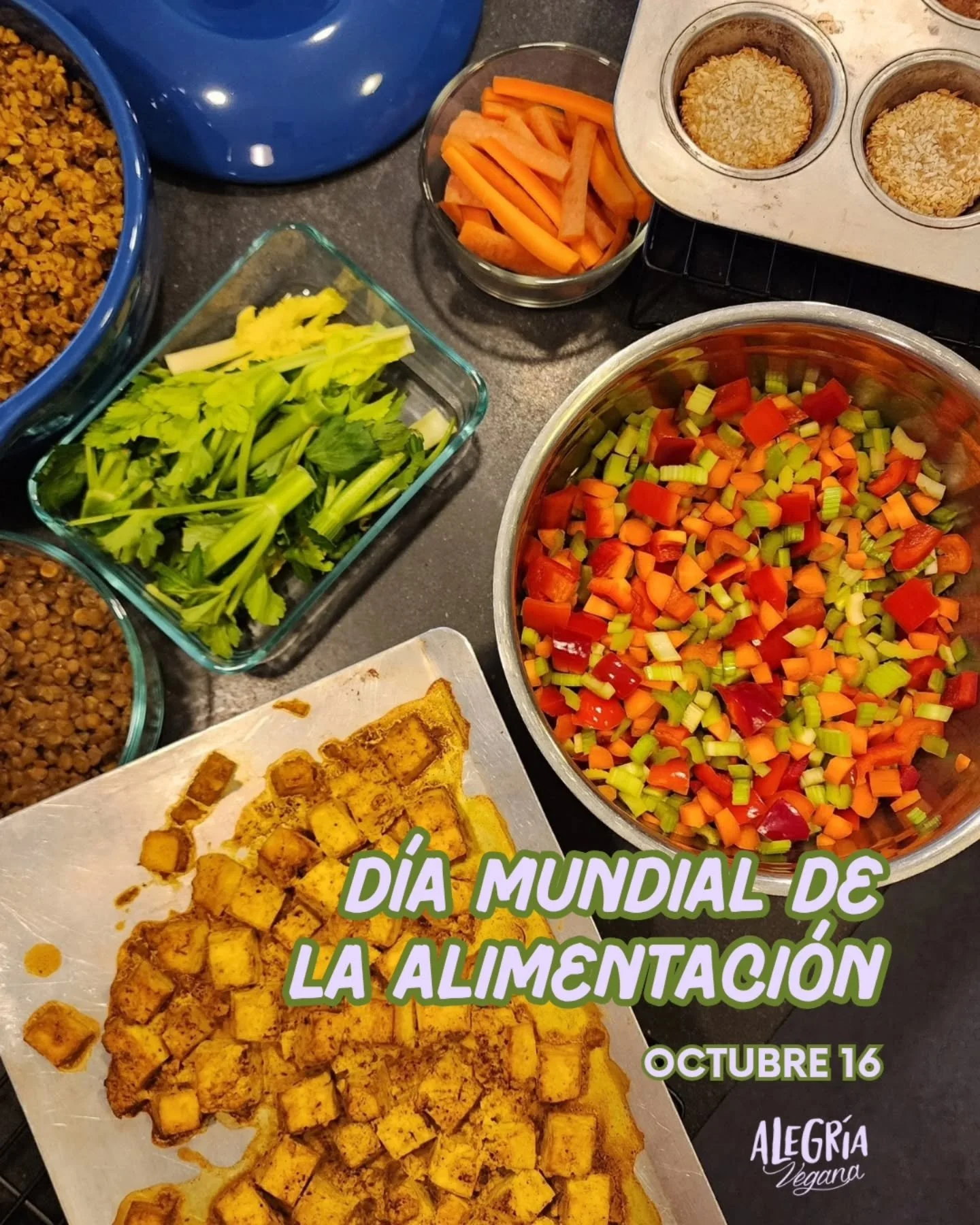 Hoy, Octubre 16, para conmemorar el #diamundialdelaalimentacion quisiera invitarte a pensar acerca de tus decisiones alimenticias, c&oacute;mo impactan tu vida y la vida de otros seres vivos y nuestro planeta 🌎 

✨️ Nuestras decisiones alimenticias 