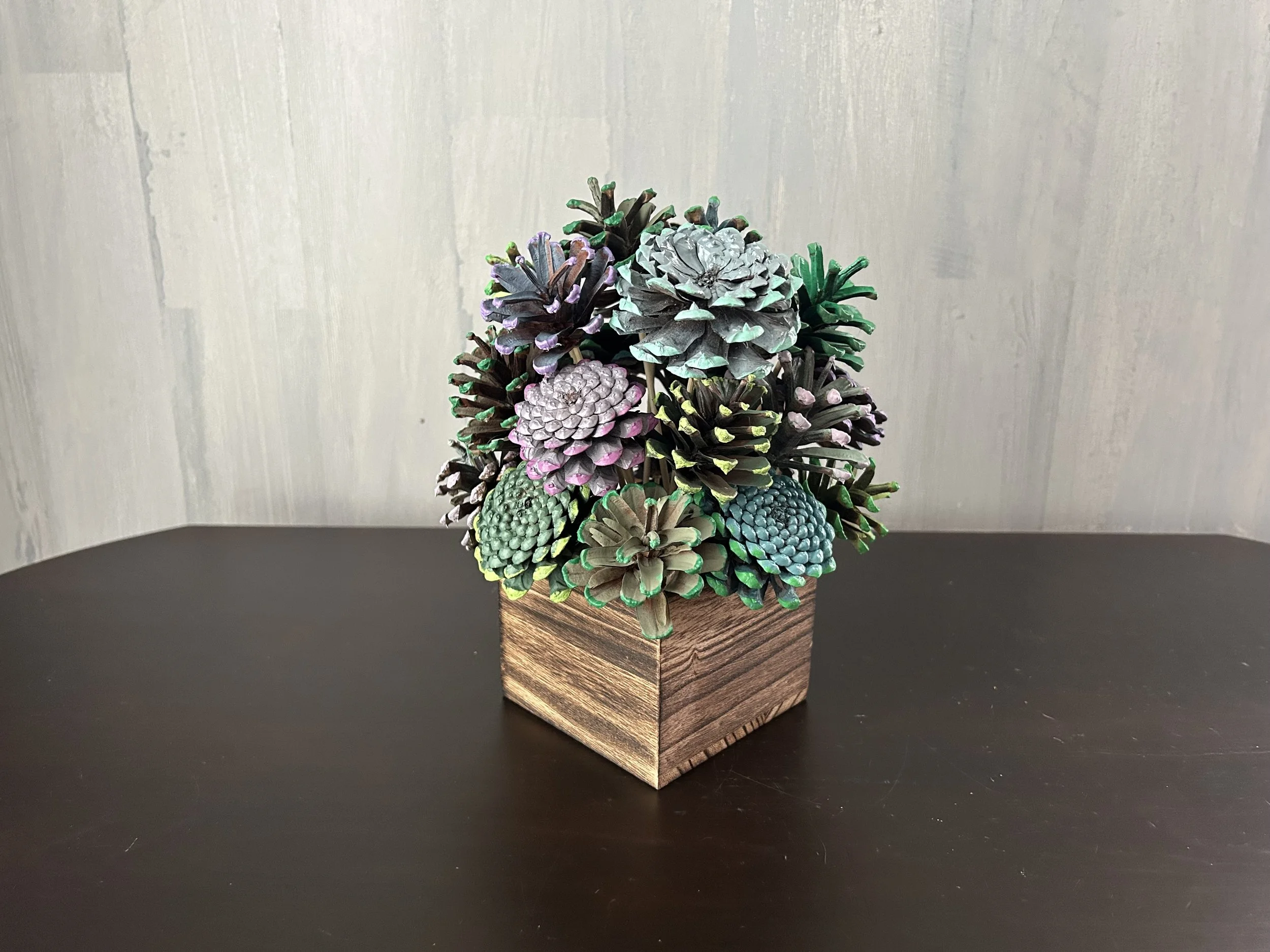 Succulent Cube - 1