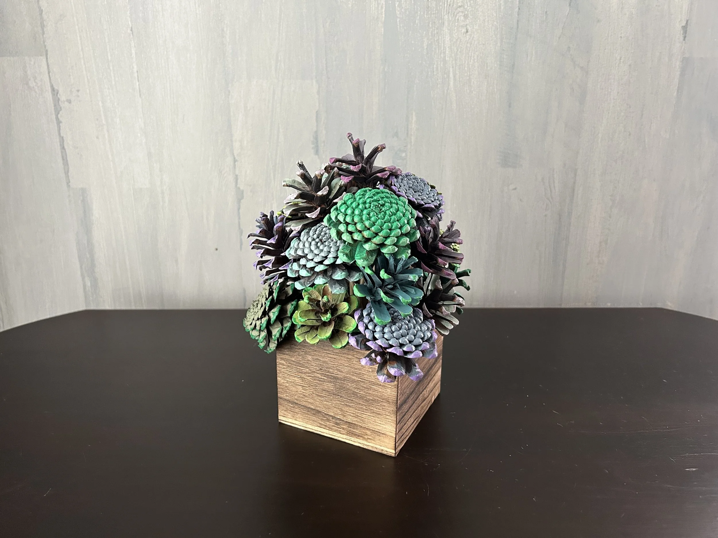 Succulent Cube - 2