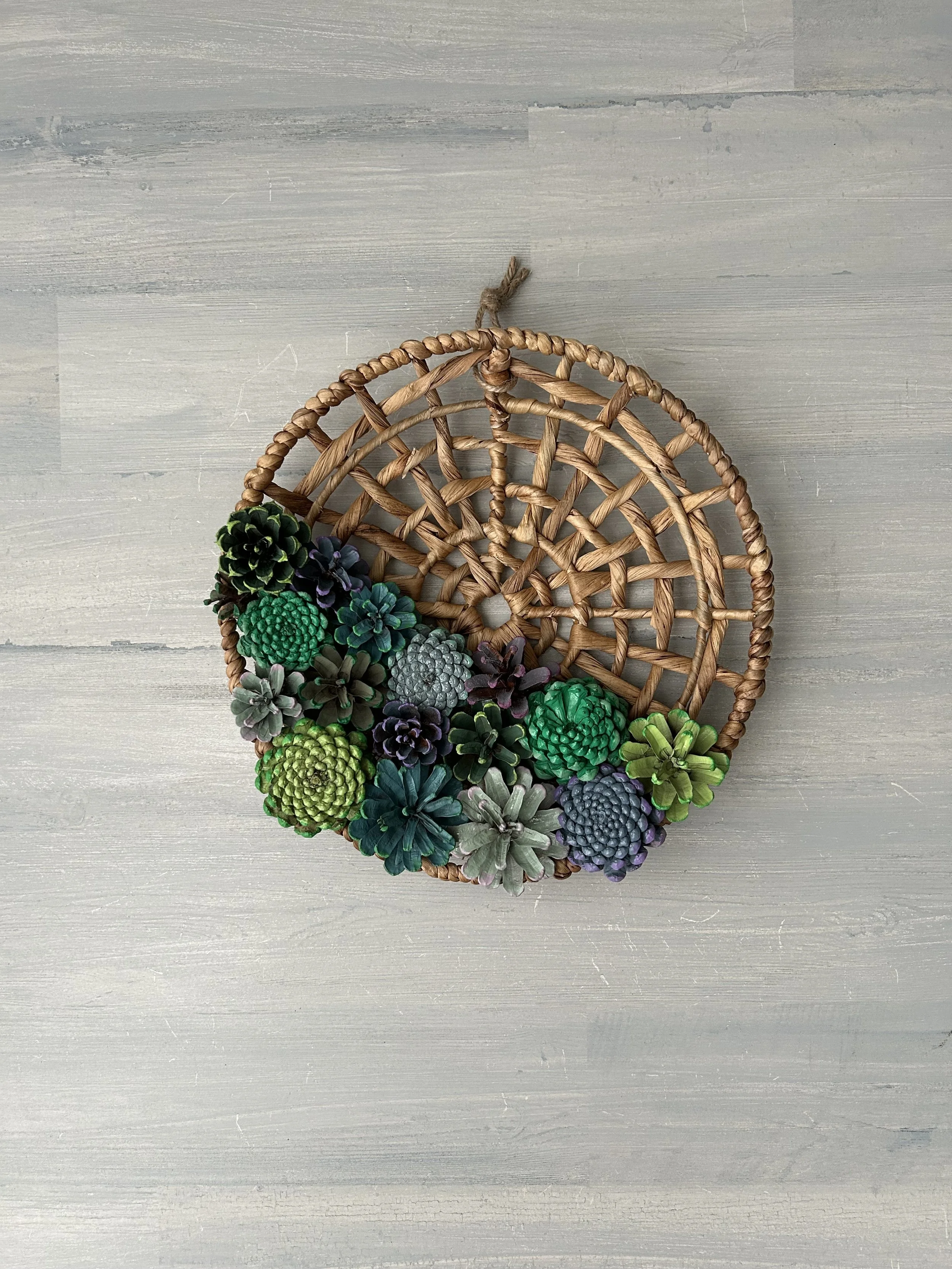 Succulent Hanging Basket 12"
