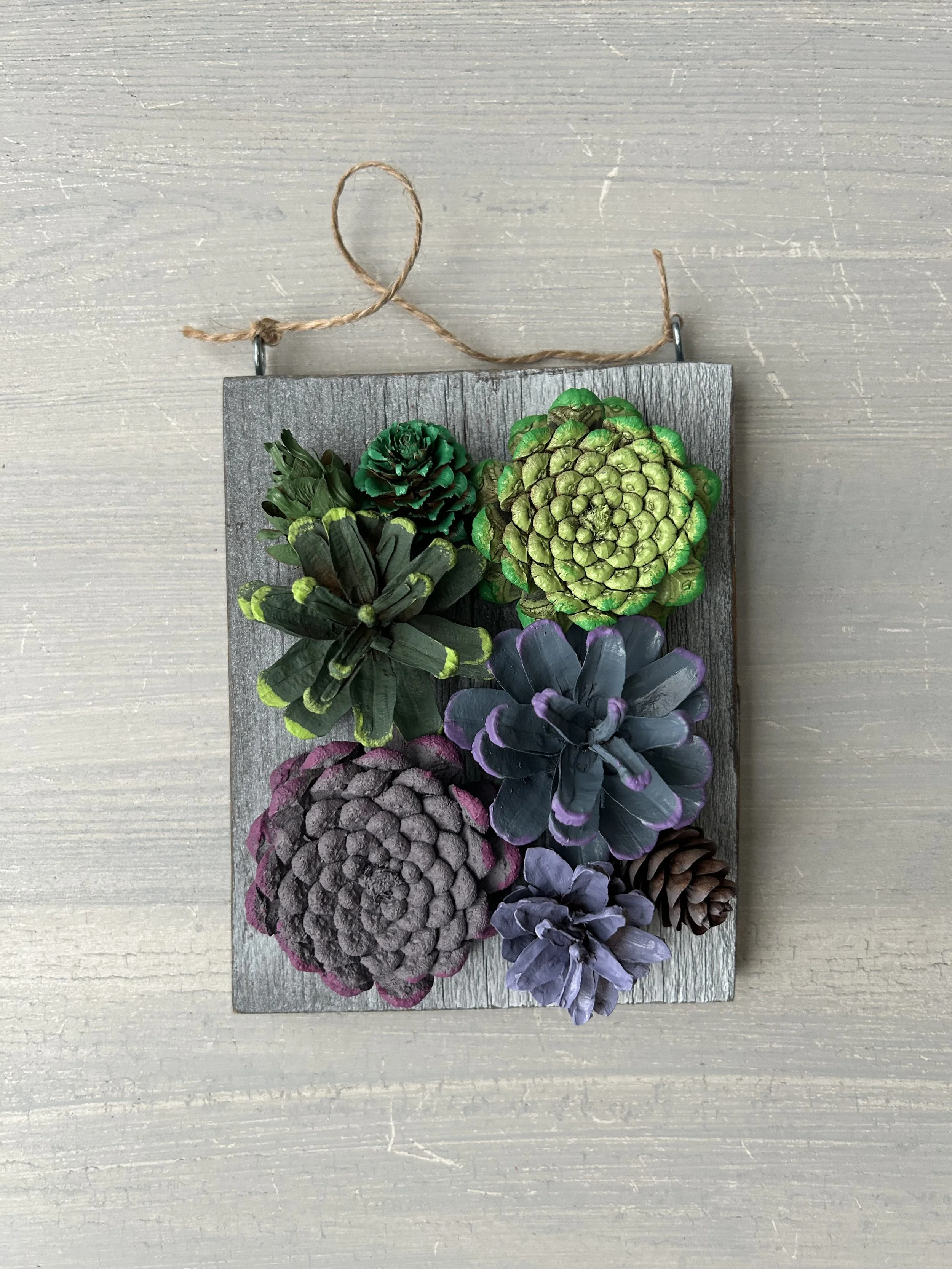 Tiny Board - Succulent 1
