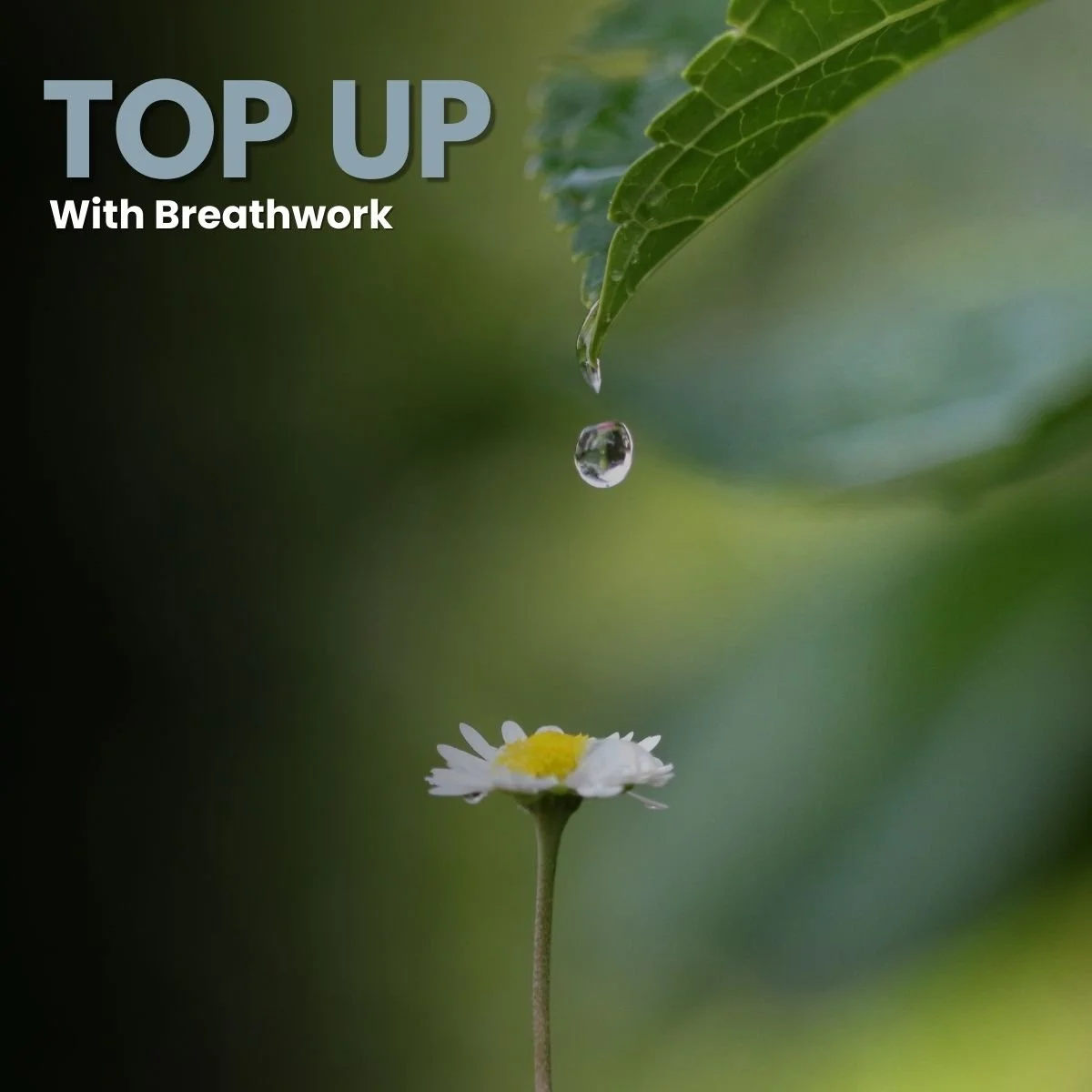 Top Up with Breathwork.jpg