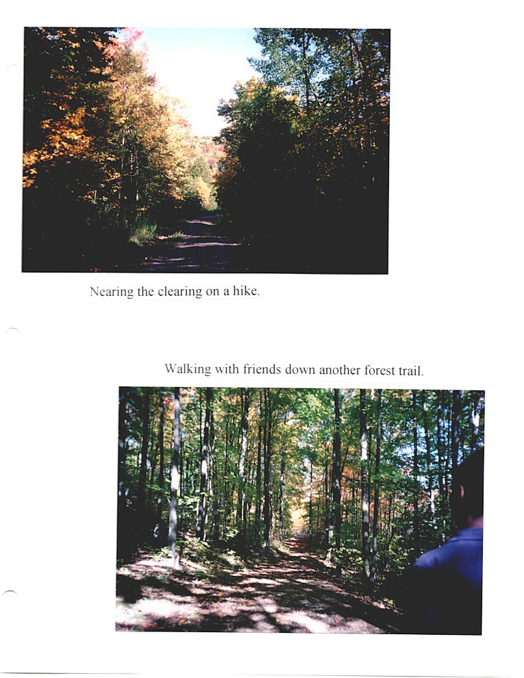 b1.jpg