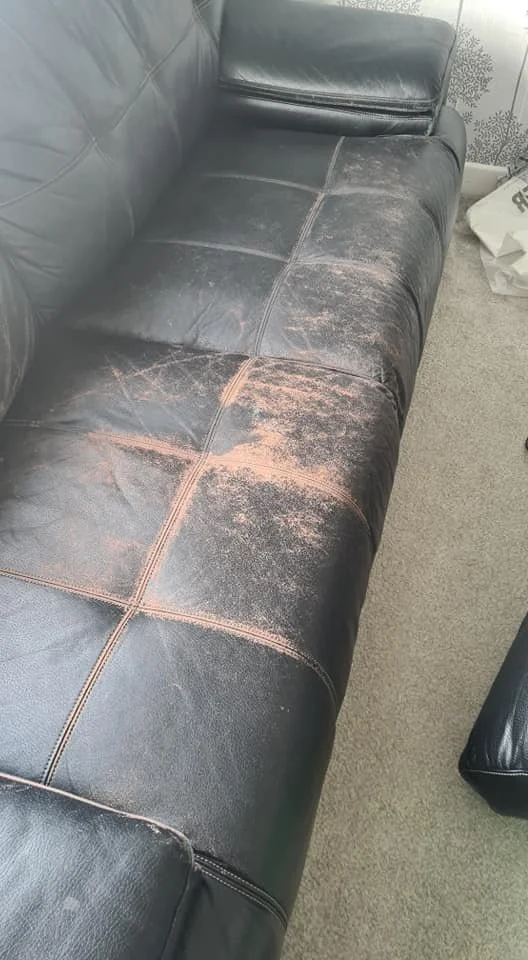 Leather Restoration.jpg