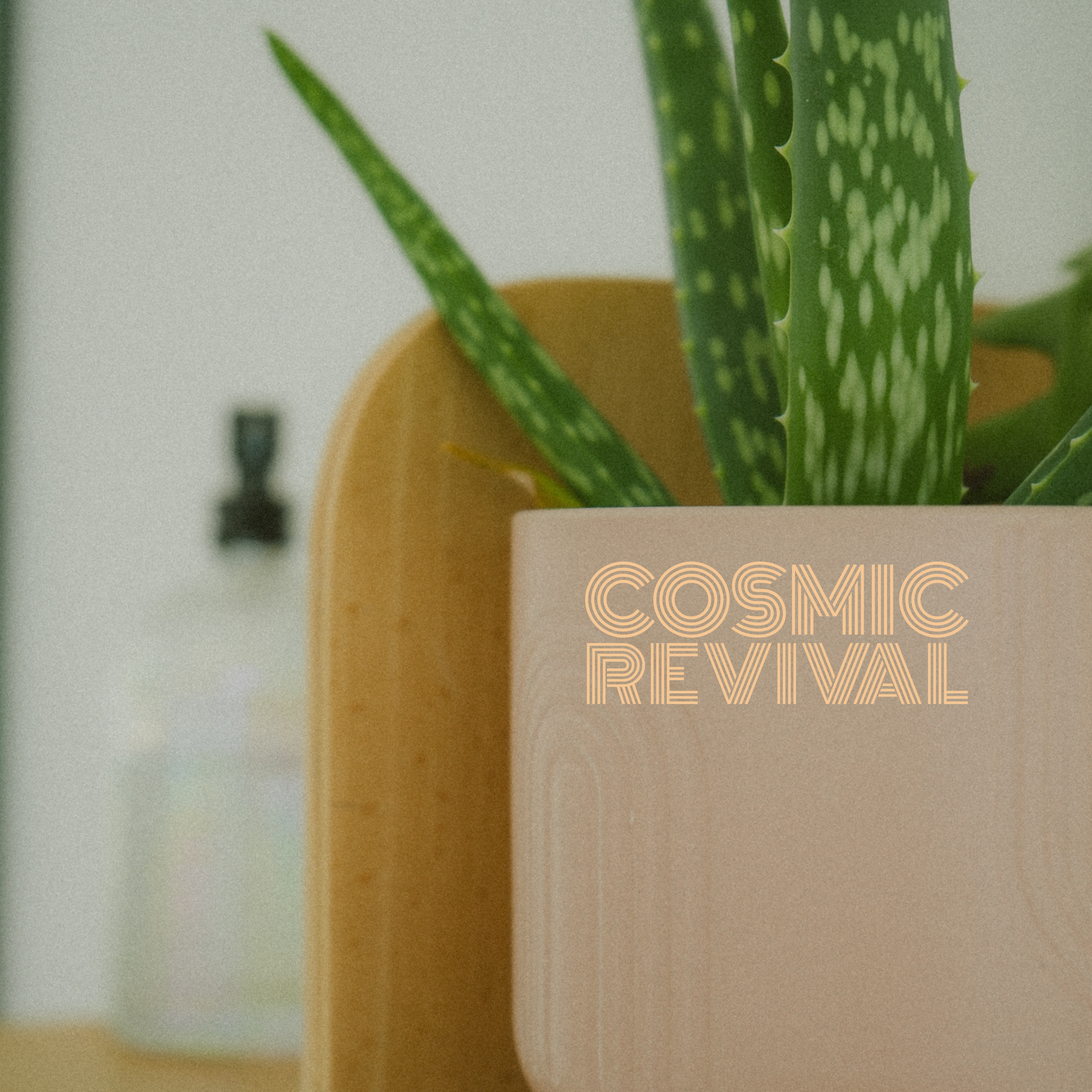 What’s New at Cosmic Revival?