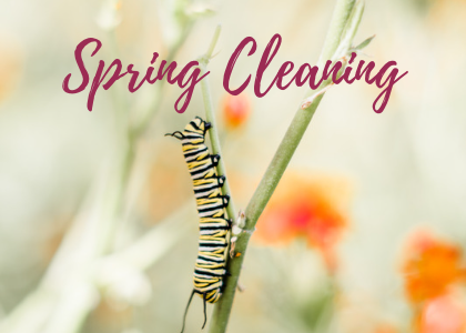 Spring Cleaning