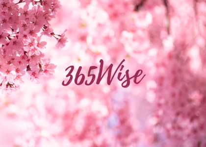 365WISE
