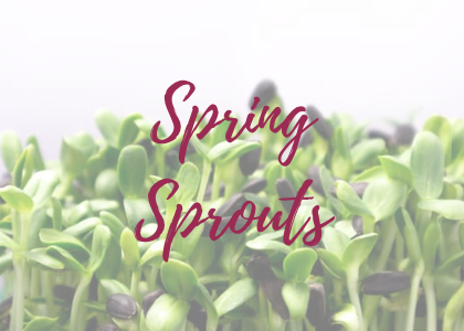 Spring Sprouts