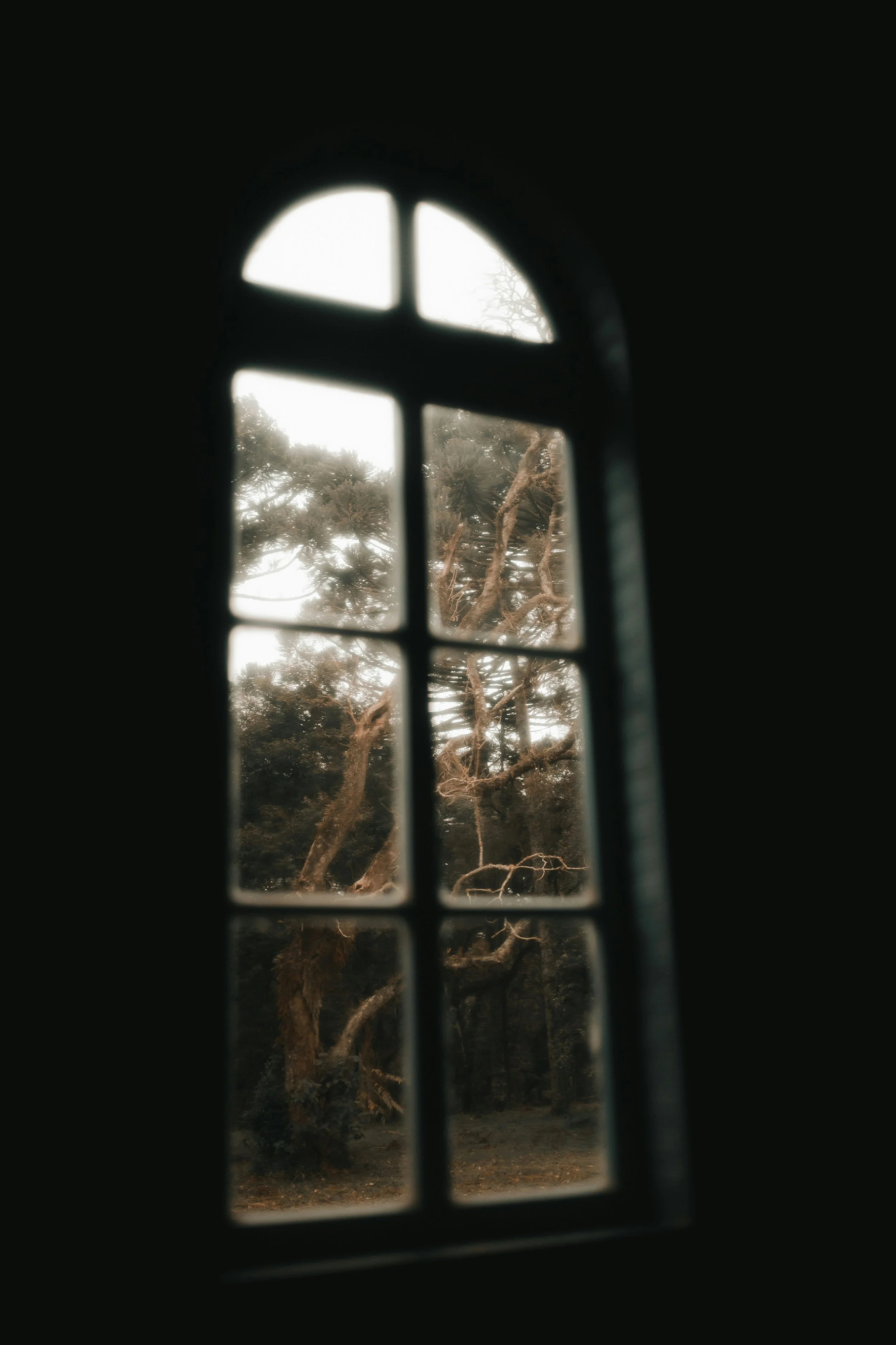 alexander-mass-HB8S7O4-f3Q-unsplash.jpg