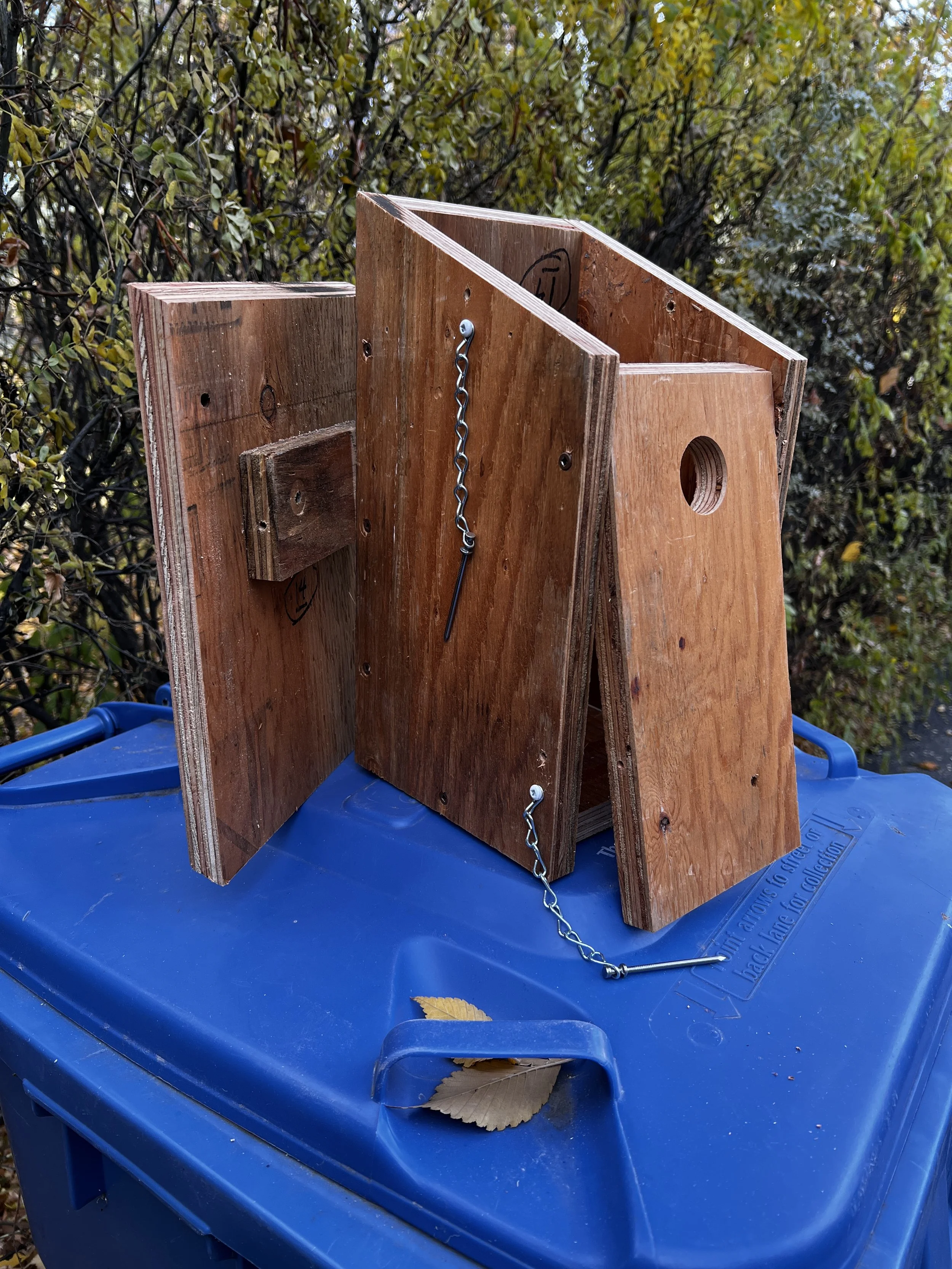 000_231011_nest boxes_2.JPG