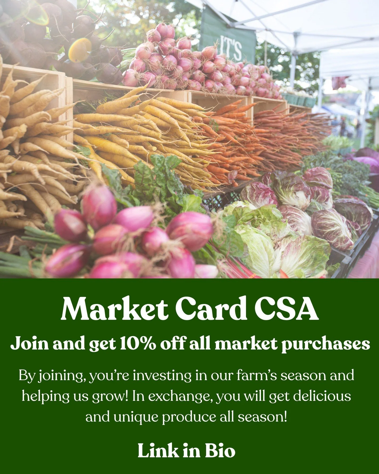 Market Cards for 2026! Enjoy our beautiful and delicious produce all season long. Buy what you want, when you want - while saving 10%. Market Cards support our farm to buy seeds and cover early season expenses. Also a great gift!
Link in Bio <3
@l